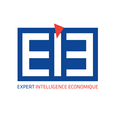 EIE Conseil - Expert Intelligence Économique